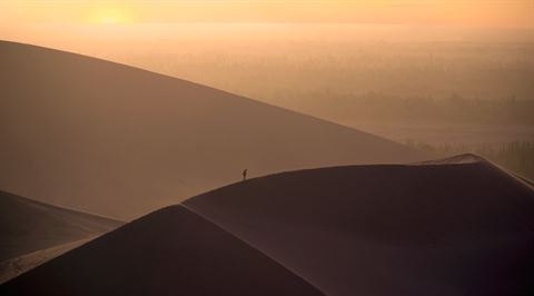 Inline - Gobi Desert