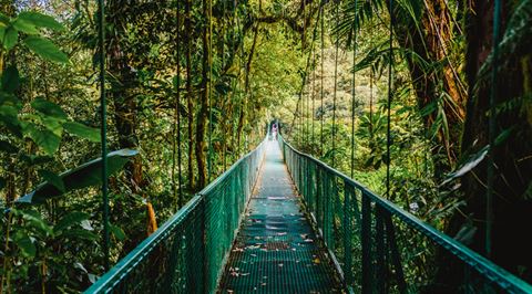Monteverde and the Nicola Peninsula, Costa Rica