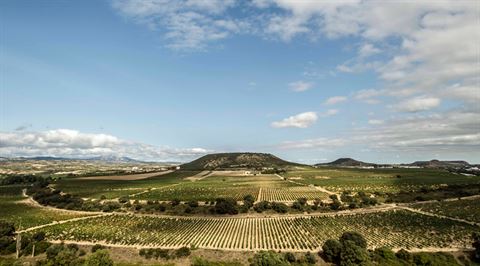 Easy, scenic access to Spain’s finest wines…