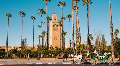 Marrakech for… culture vultures