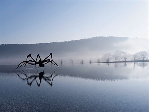 France: Crouching Spider by Louise Bourgeois