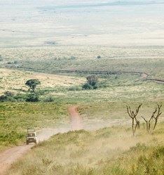 B144, Tarangire National Park to Serengeti National Park, Tanzania, Africa