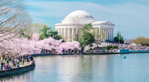 Cherry Blossom Festival, Washington DC, USA
