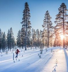 Swedish Lapland