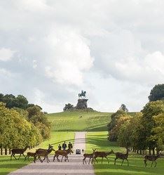 The Copper Horse from the long walk, Windsor