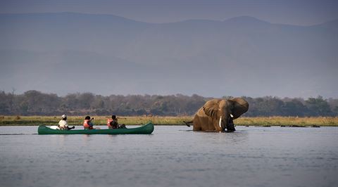 canoeing in Zimbabwe