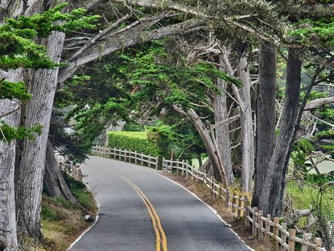 Carmel by the Sea to Monterey, California
