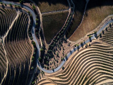 Fast and Furious-Douro Valley