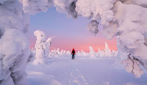 lapland